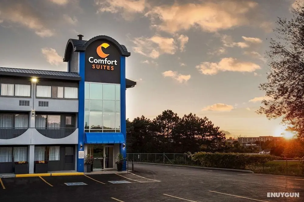 Comfort Suites Kingston Central - Öne Çıkan Resim