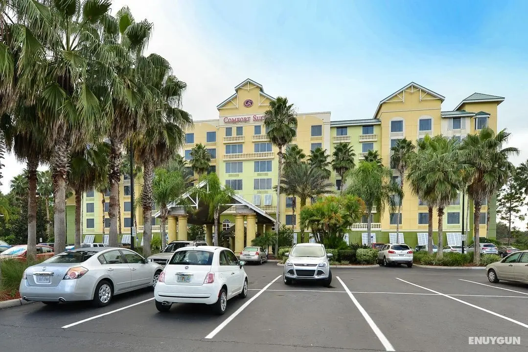 Comfort Suites Maingate East - Genel