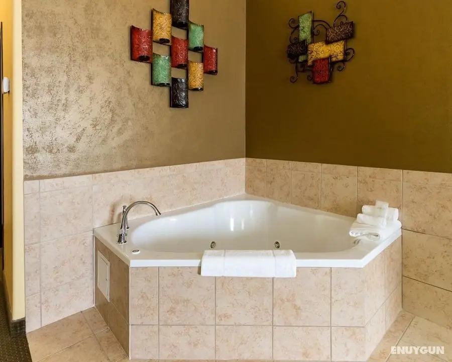 Comfort Suites Palestine Area - Genel