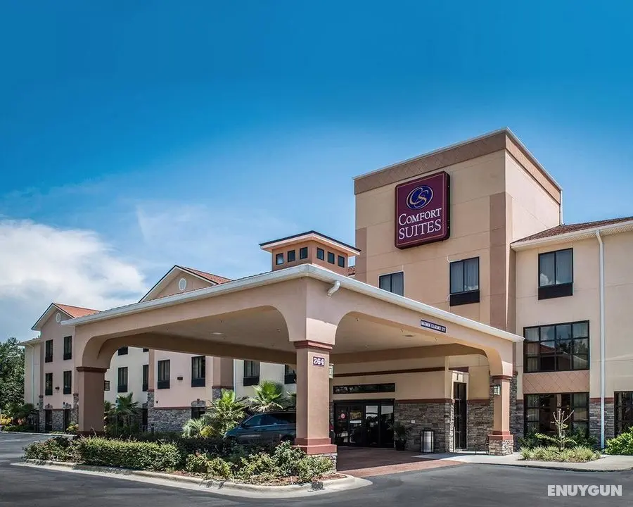 Comfort Suites Panama City near Tyndall AFB - Genel