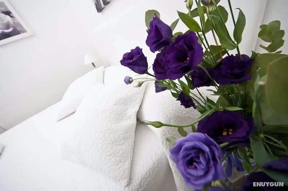 Comfortable Apartment Near the Vatican Free Wifi - Öne Çıkan Resim