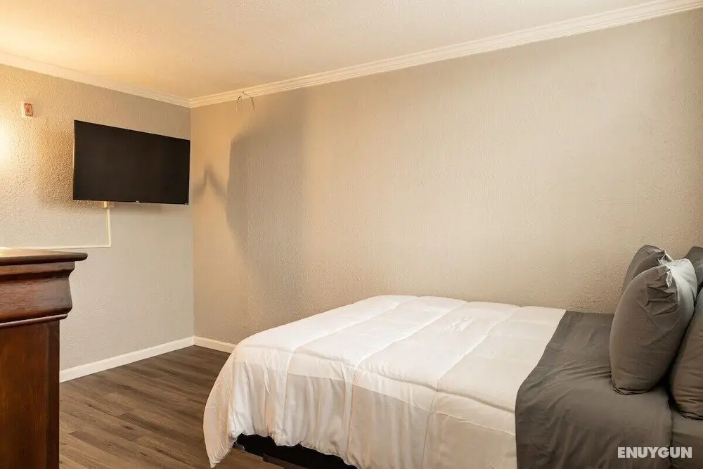Comfy Studio in West Oakland - Oda