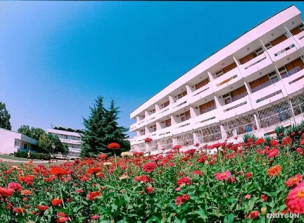 Hotel Compass - Dış Mekanlar