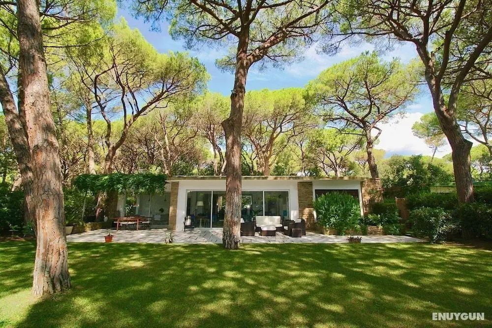 Villa Conchiglia - Öne Çıkan Resim