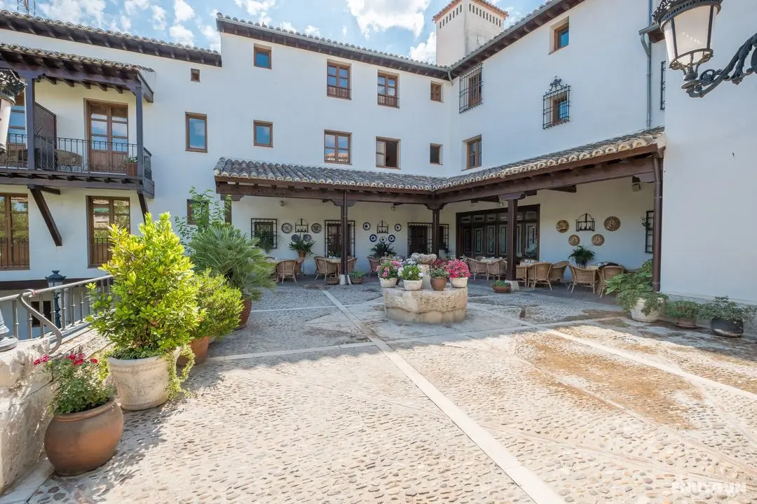 Condesa de Chinchon - Genel