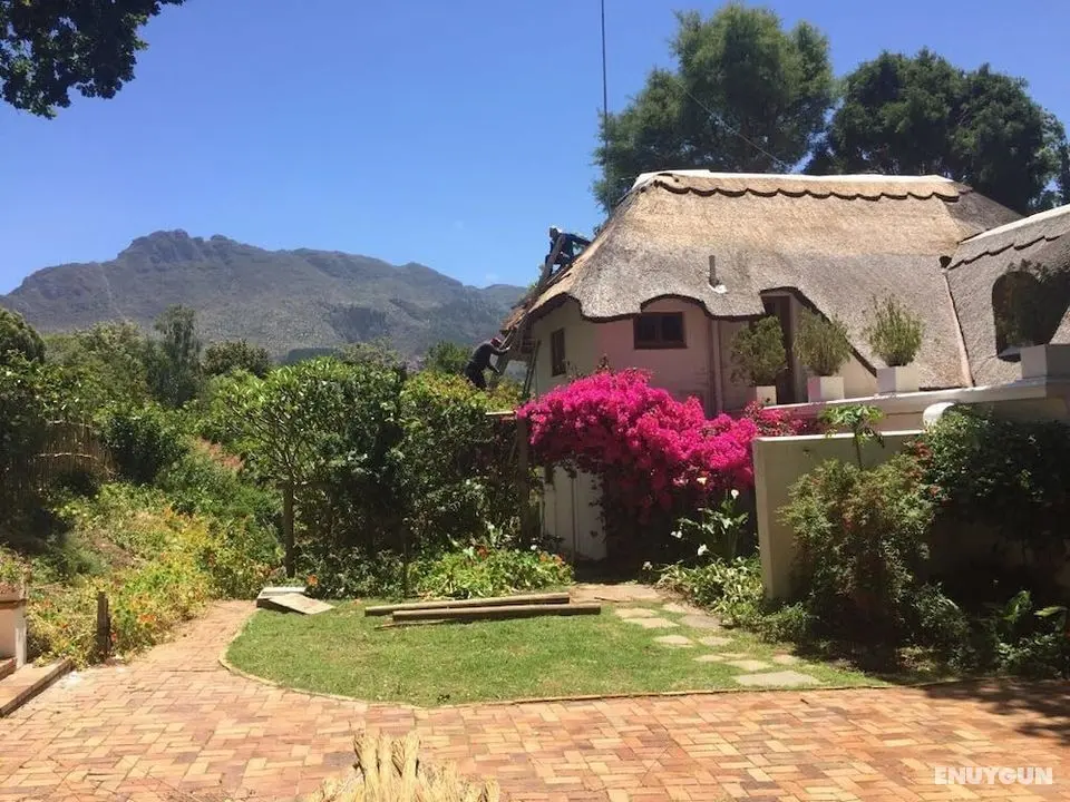 Constantia Woods - Öne Çıkan Resim