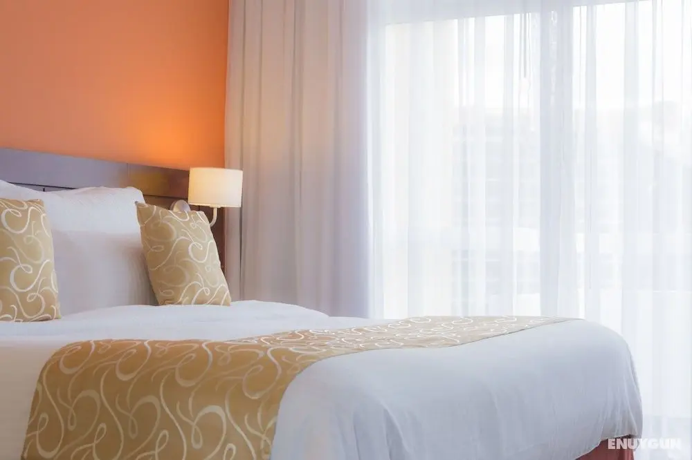 Hotel Continental Altamira - Öne Çıkan Resim