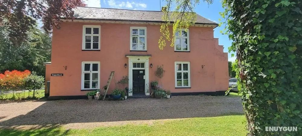 Copperbeech Bed and Breakfast - Öne Çıkan Resim