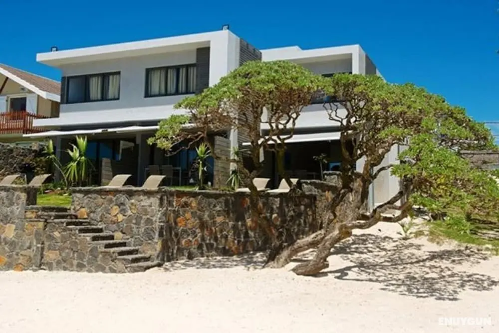 Coral Bay by Dream Escapes - Öne Çıkan Resim