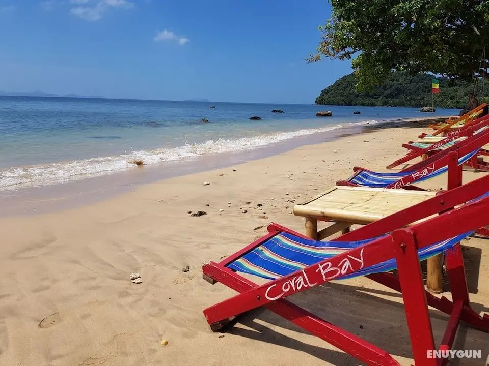 Coral Bay Resort - Öne Çıkan Resim