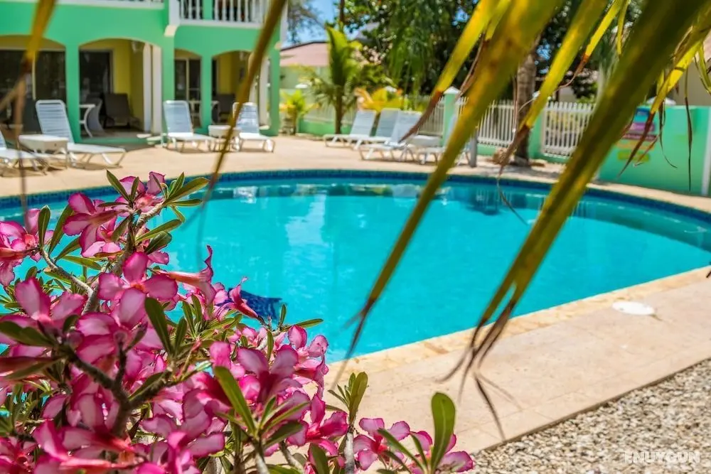 Coral Paradise Resort - Öne Çıkan Resim