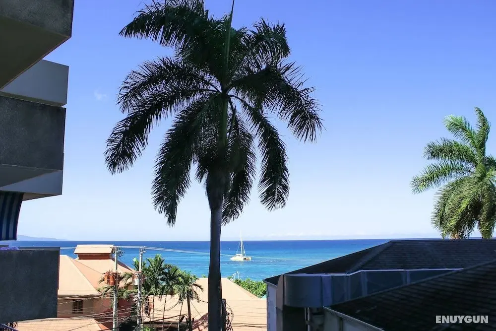 Coral Reef Beach Suite At Montego Bay Club Resort - Havuz