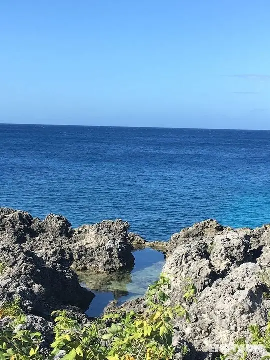 Coral Seas Cliff - Öne Çıkan Resim