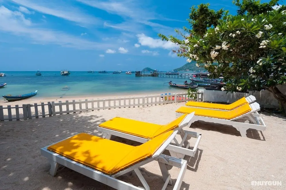Coral View Apartment - Öne Çıkan Resim