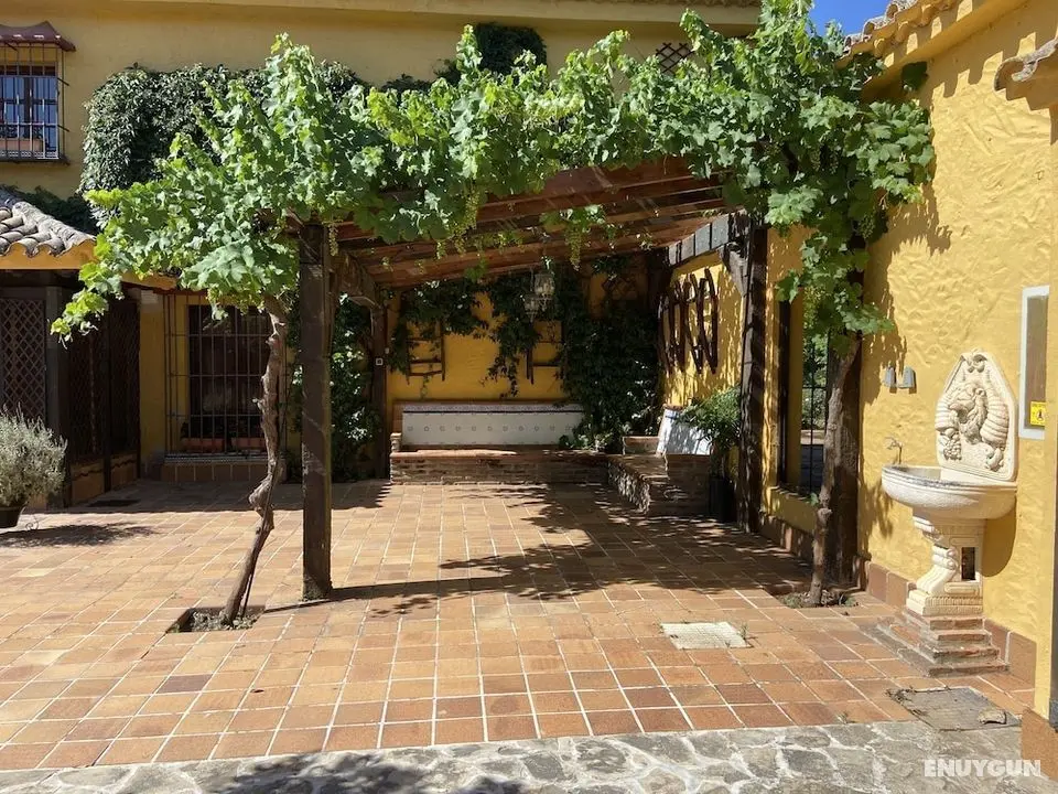 Cortijo Galván - Oda Düzeni