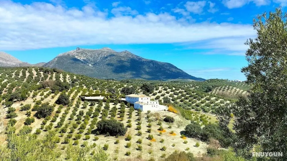 Cortijo La Presa - Dış Mekan