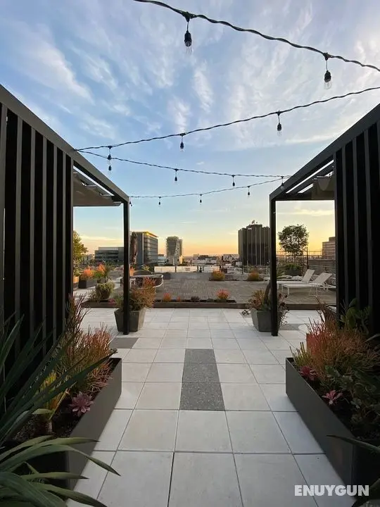 The Cosmo Lofts - Öne Çıkan Resim