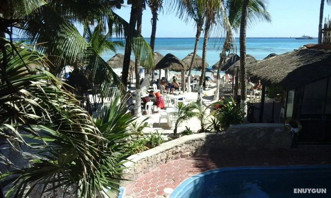 Costa del Mar - Genel
