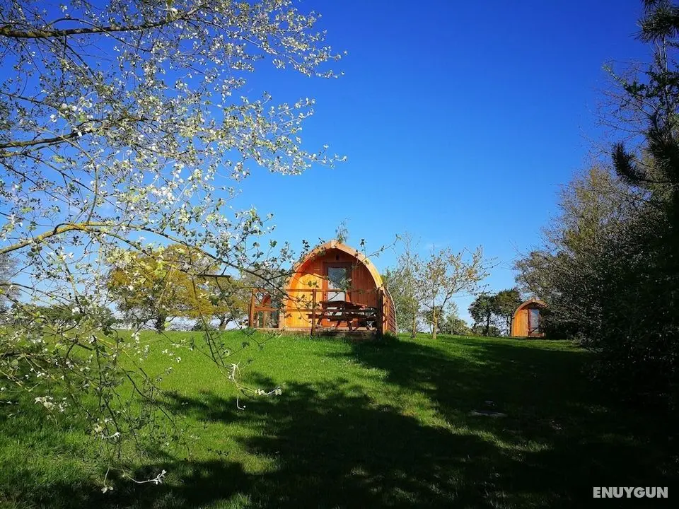 Cosy Camping Suffolk - Öne Çıkan Resim