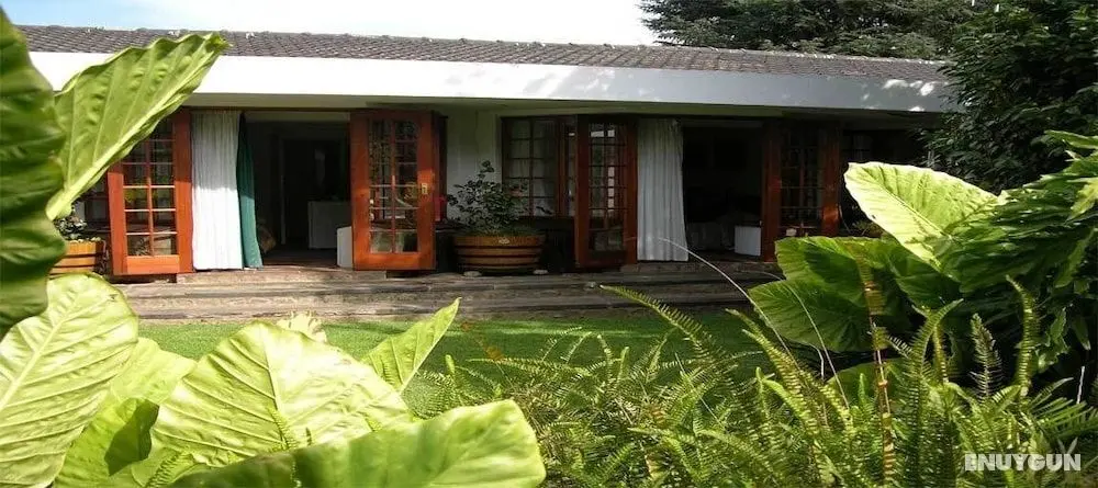 Cosy Den B&B Luxury Guest House Style - Öne Çıkan Resim