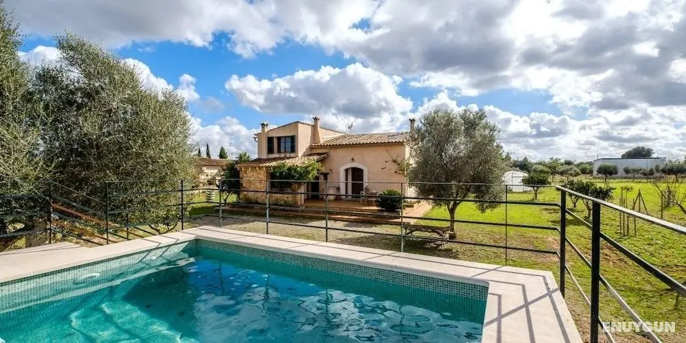Cosy Finca Sa Vinya - Öne Çıkan Resim