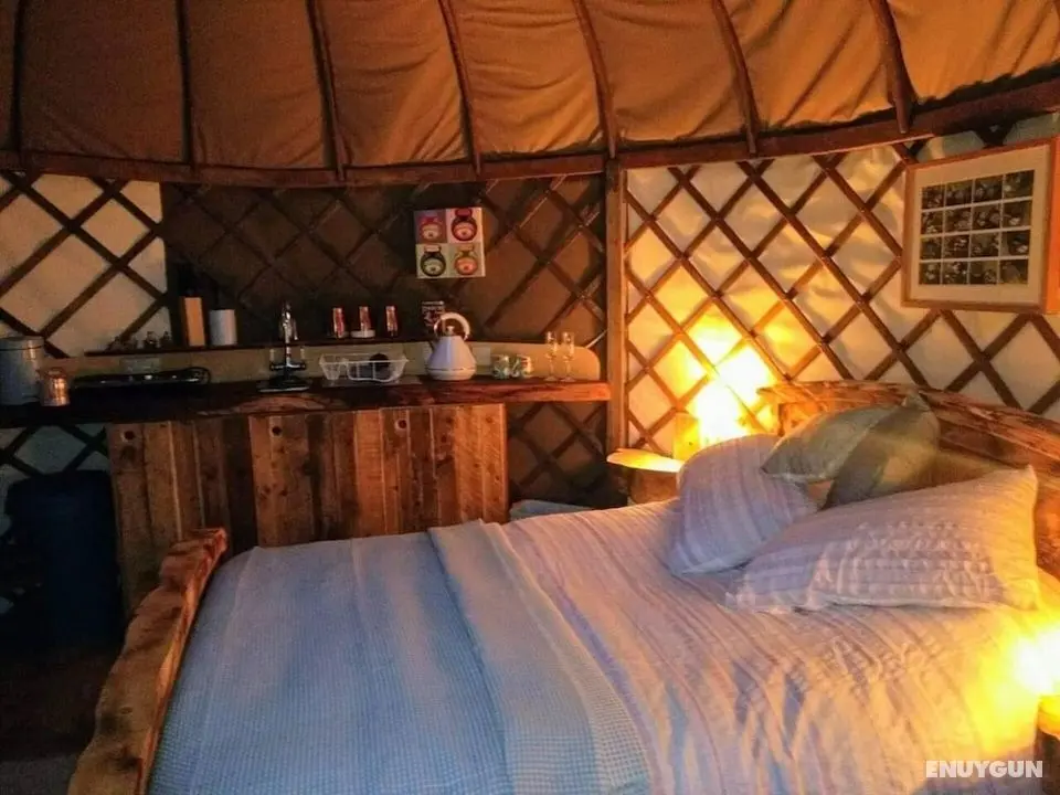 Cosy and Inviting Waterside Luxury Yurt - Öne Çıkan Resim