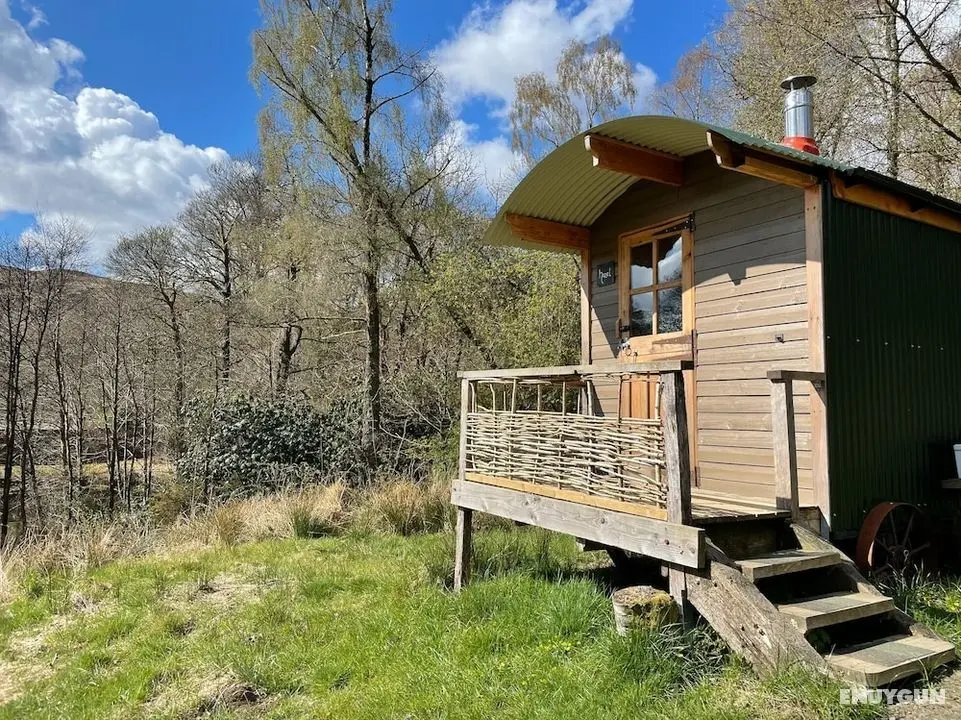 Cosy Woodland off Grid Shepherds Hut - Hazel - Öne Çıkan Resim