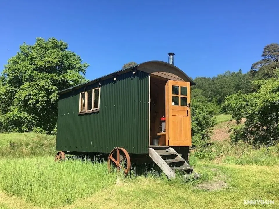 Cosy Woodland off Grid Shepherds Hut - Rowan - Öne Çıkan Resim