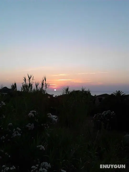 Cottage-apartment Surrounded By Unspoilt Nature On The Coast - Öne Çıkan Resim