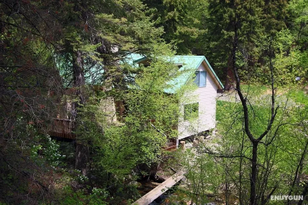 Cottage on the Stream - Öne Çıkan Resim