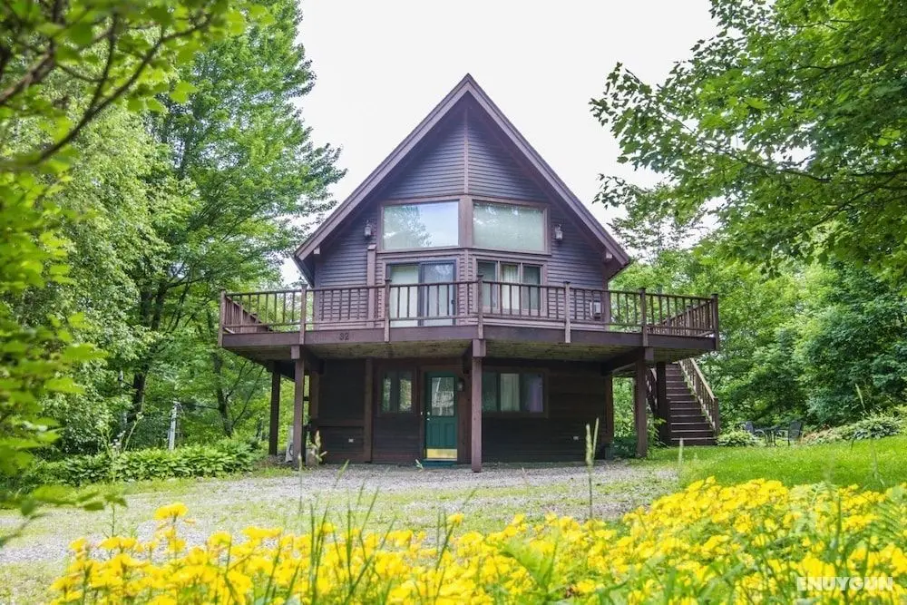 Cottage in the Woods - Dış Mekan