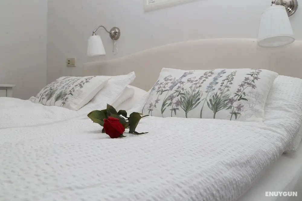 Country Dream guesthouse - Öne Çıkan Resim
