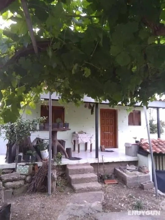 Country House Christopoulos - Öne Çıkan Resim