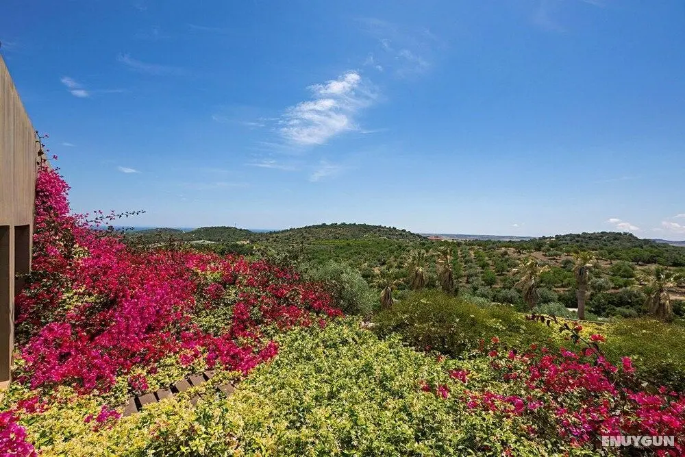 Country House Villadorata - Dış Mekan
