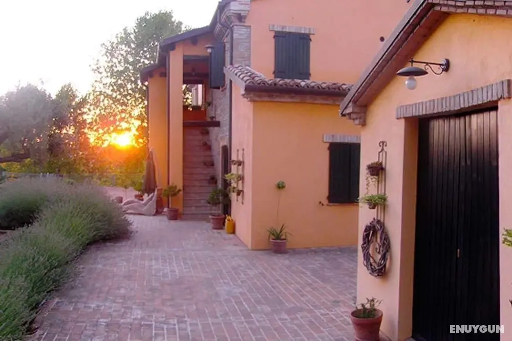Country House Il Sassone - Dış Mekan