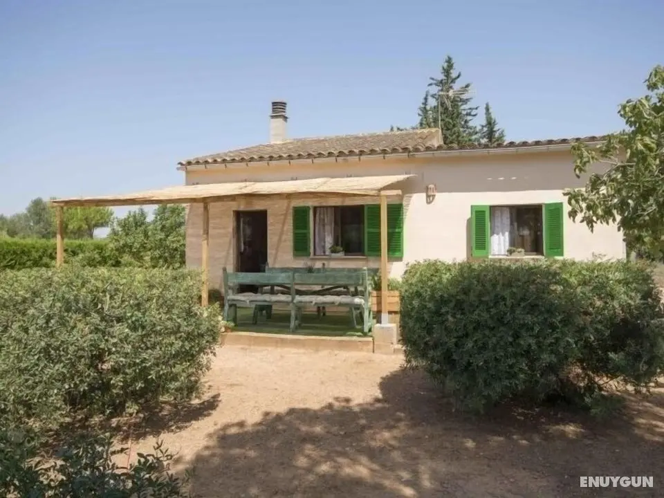 Country House Sa Vinya - Dış Mekan