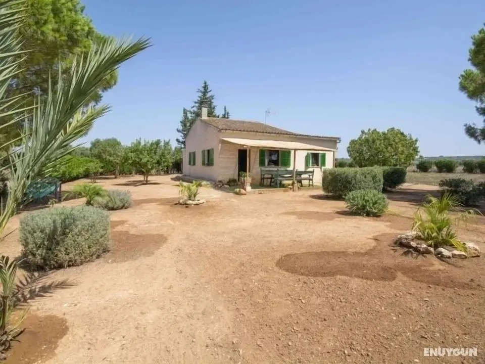 Country House Sa Vinya - Öne Çıkan Resim
