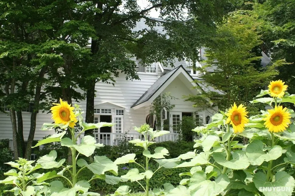 Country Inn Orchard House - Öne Çıkan Resim