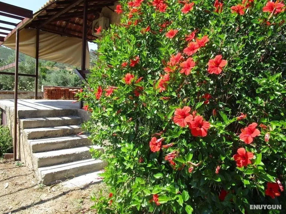 Countryside house - Öne Çıkan Resim