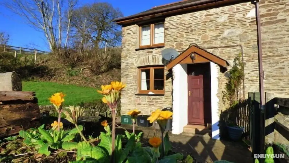 Court Farm Holiday Cottages - Öne Çıkan Resim