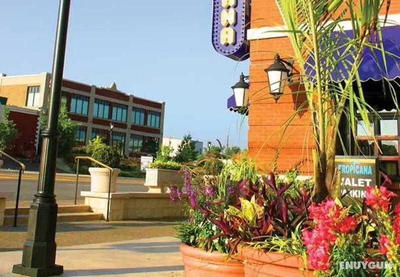 Courtyard Cincinnati Covington - Genel