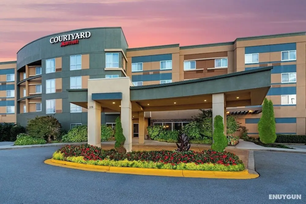 Courtyard by Marriott Atlanta McDonough - Dış Mekan