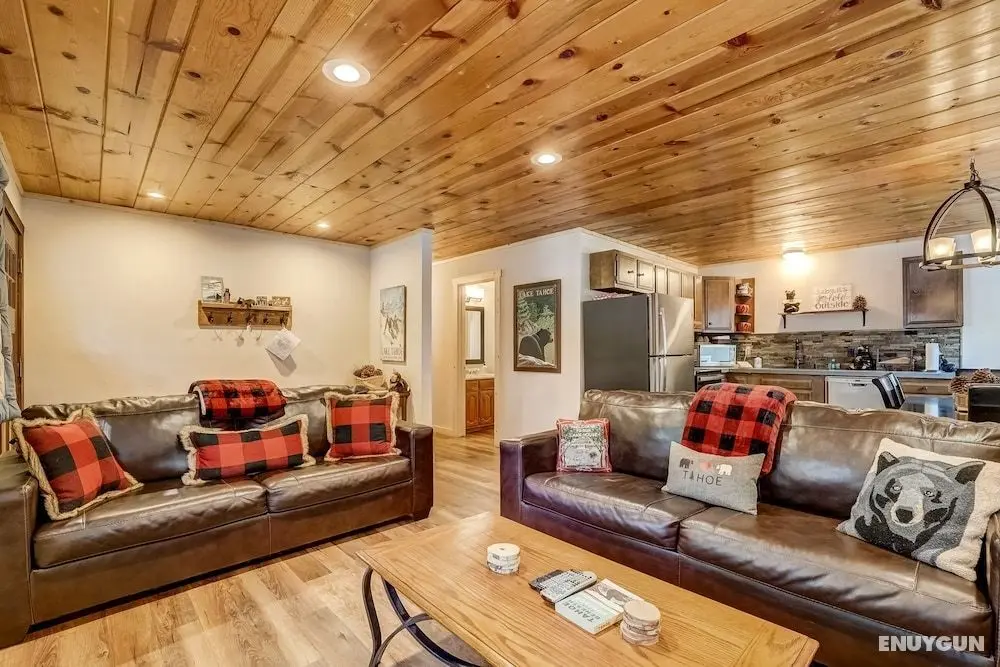 Cozy Bear Cabin - Öne Çıkan Resim