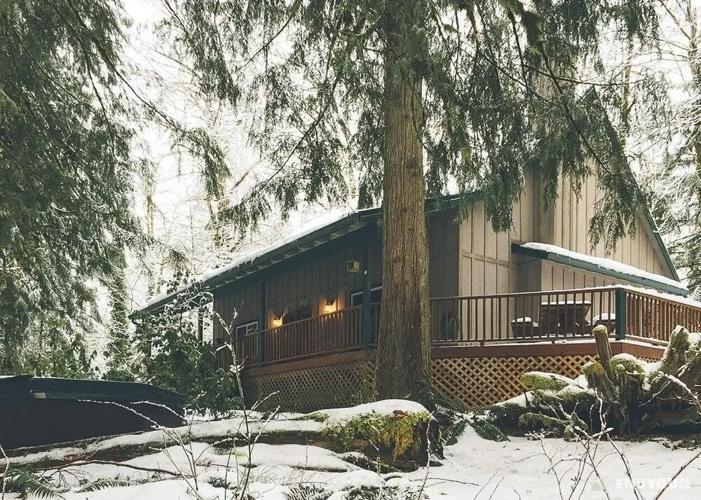 Cozy Bear Cabin - Dış Mekan