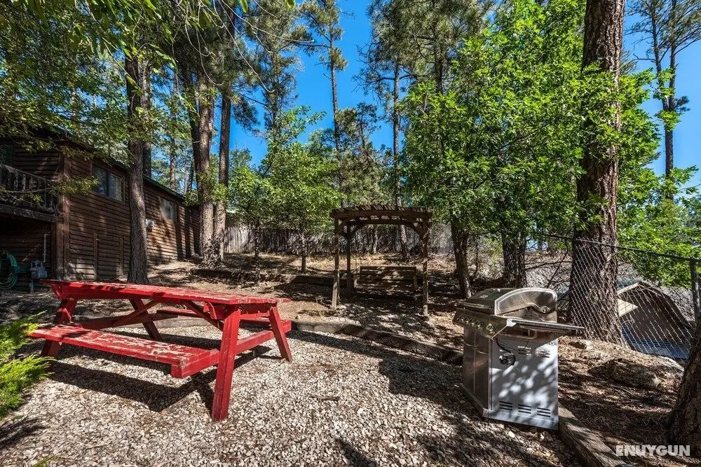 Cozy Bear Cabins - Dış Mekan
