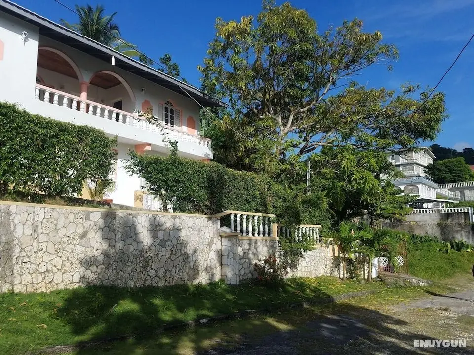 The Cozy Family Inn Guesthouse - Öne Çıkan Resim