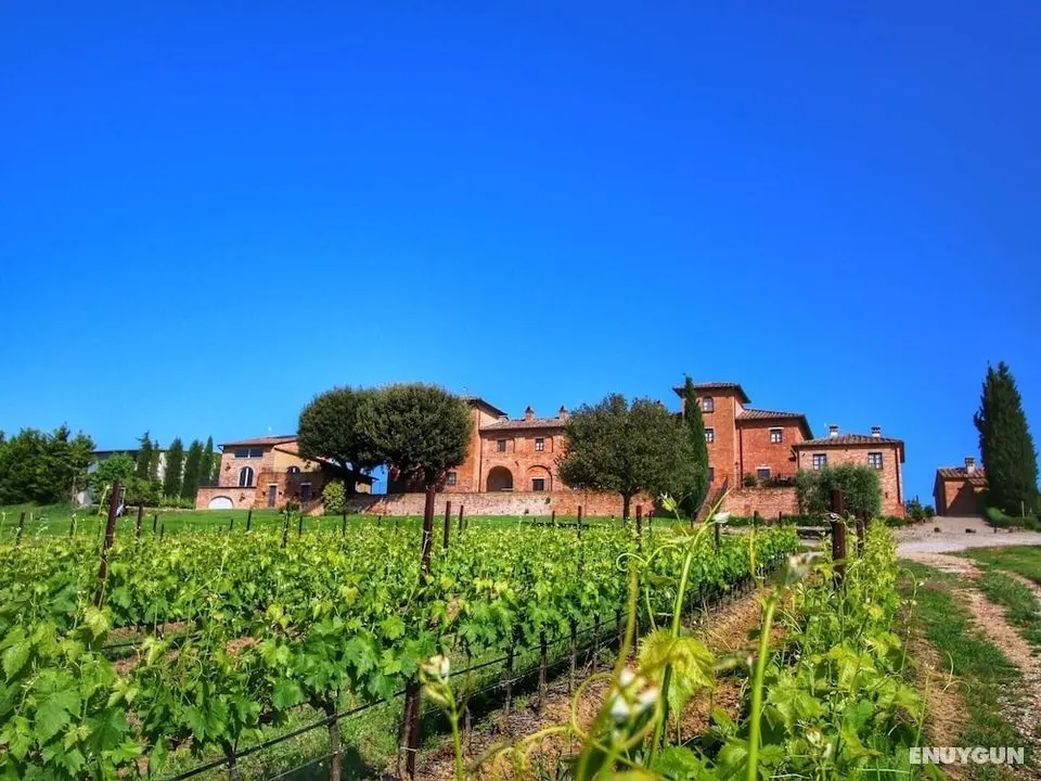 Cozy Farmhouse in Montepulciano With Pool - Öne Çıkan Resim