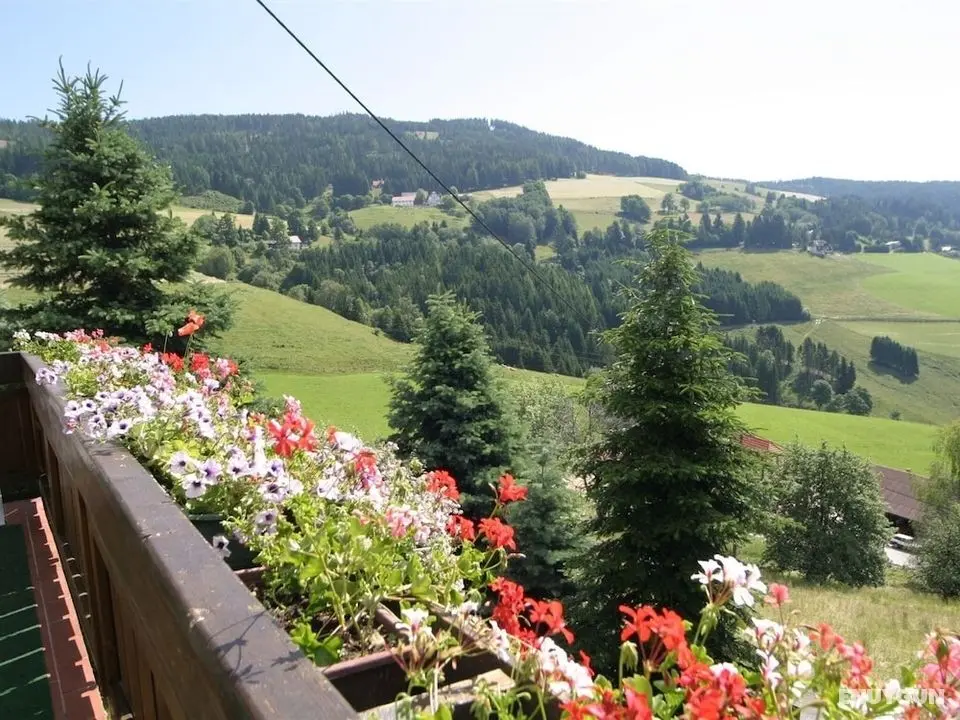 Cozy Holiday Home in Diex With Sauna - Öne Çıkan Resim