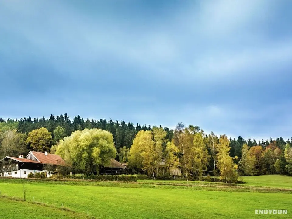 Cozy Holiday Home in Konzell With Terrace - Konum Öne Çıkanlar