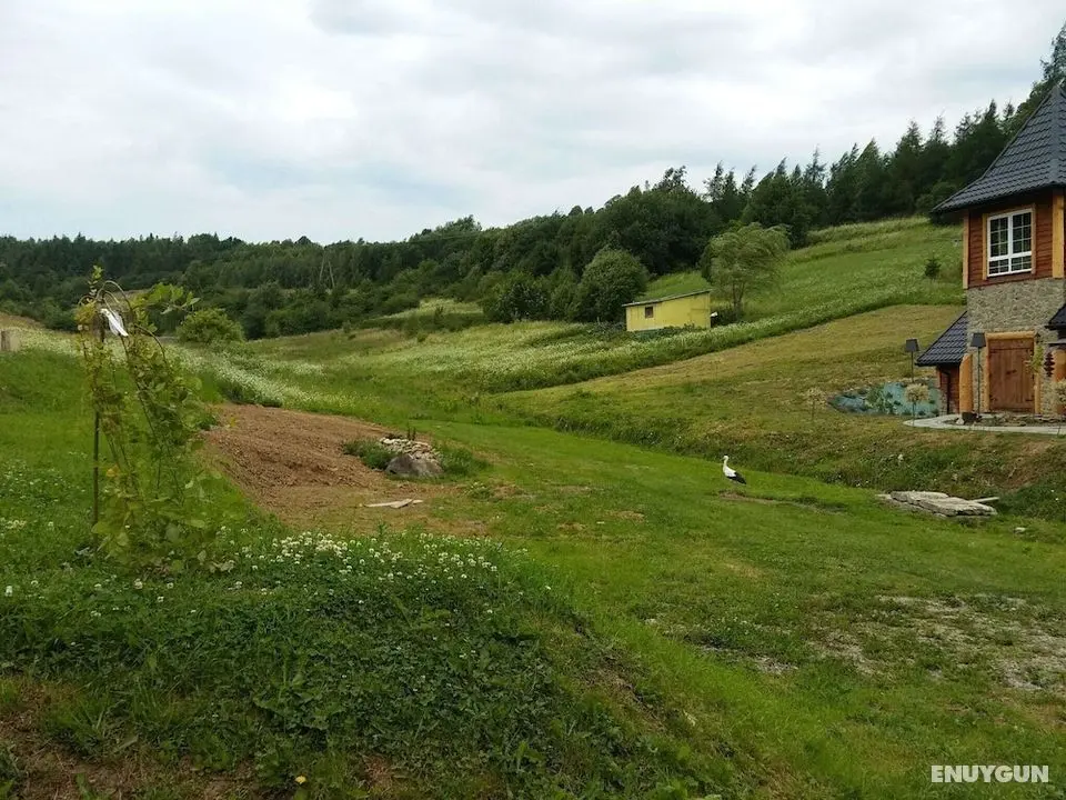 Cozy Holiday Home in Posada Górna With Barbecue - Öne Çıkan Resim